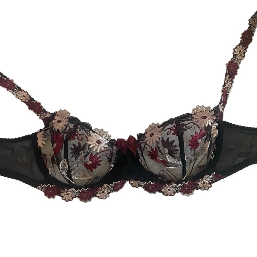 Elegant Floral Embroidered Bra - Black and Red